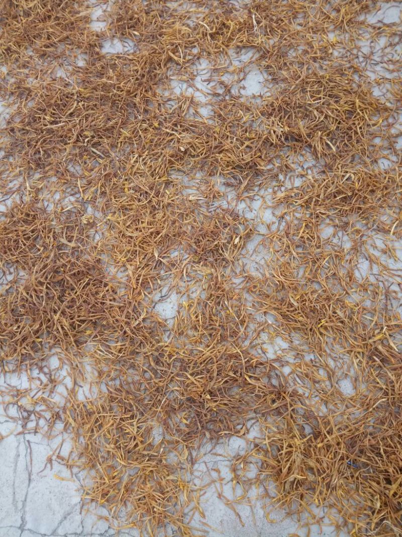 晾干的金针