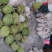 泰国菠萝蜜