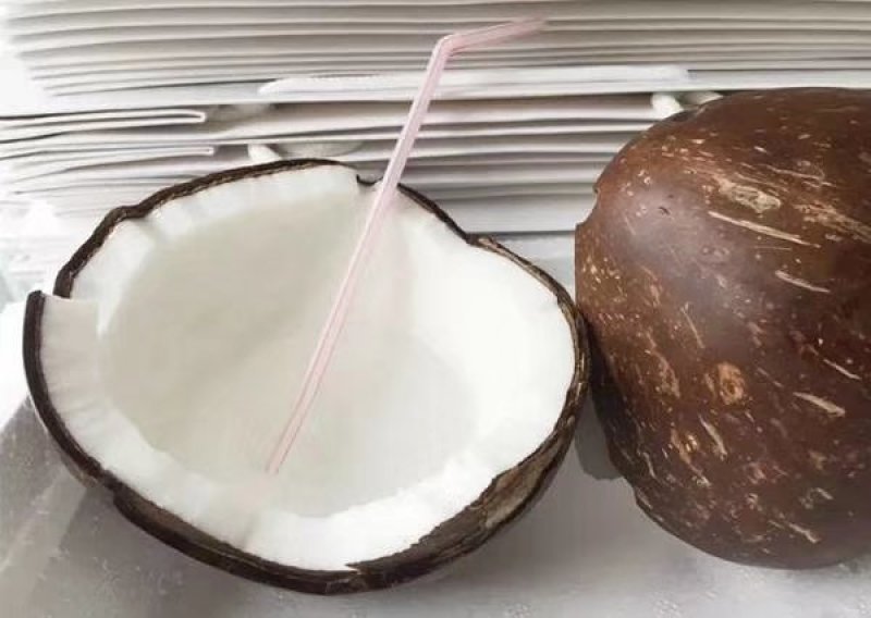 椰子椰皇
