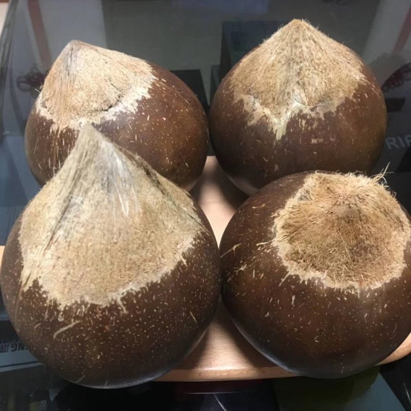 椰子椰皇
