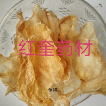 鱼胶鱼鳔胶质量见图片干度高质量好代抓药方
