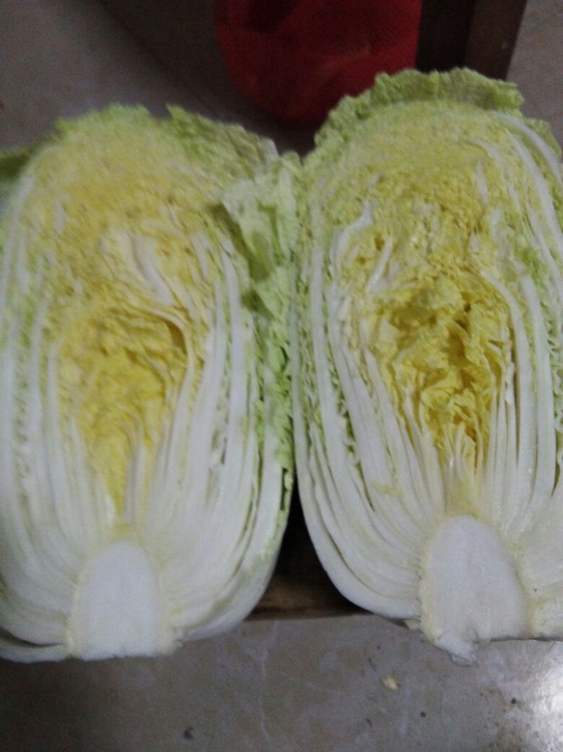 黄心秋宝白菜口感好棵好看