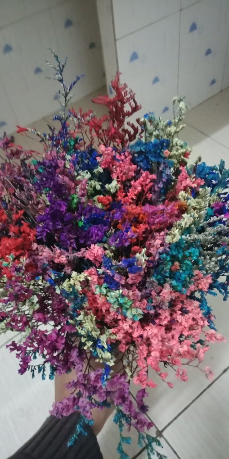 各种把花，都是B级花！