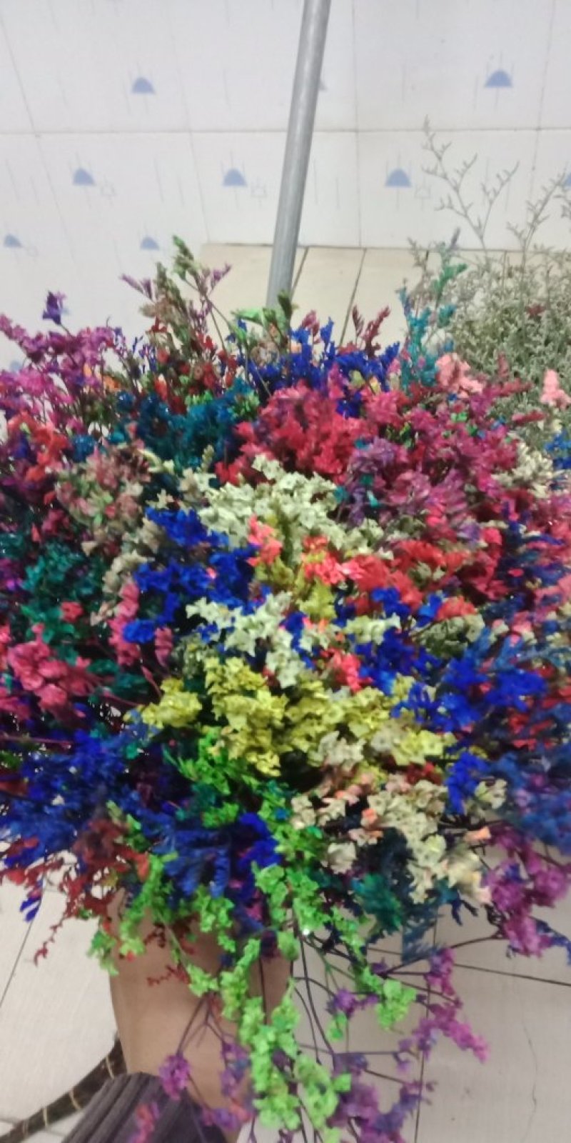 各种把花，都是B级花！