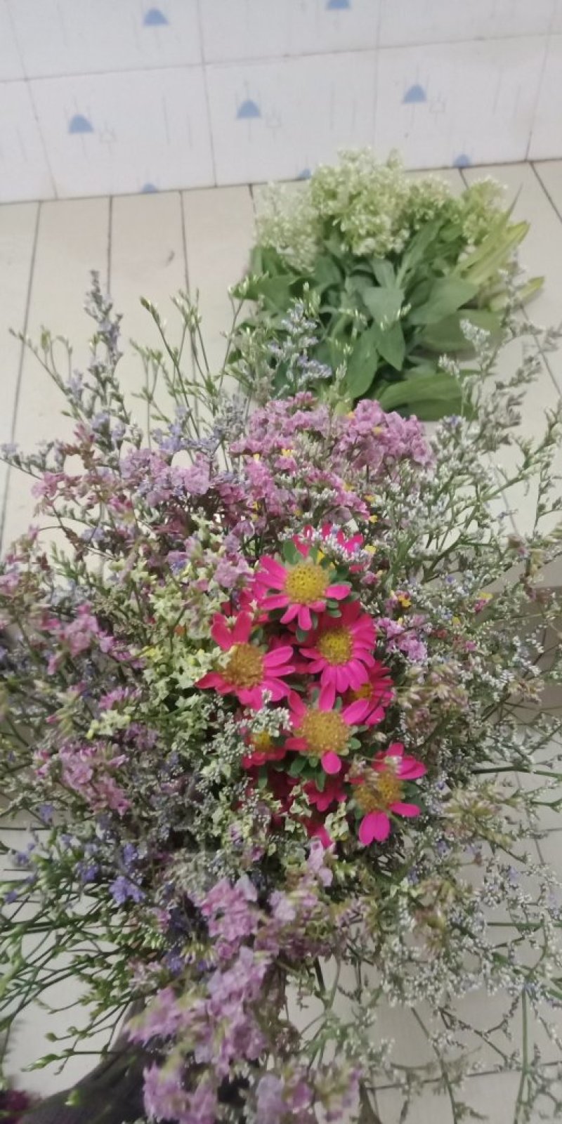 各种把花，都是B级花！