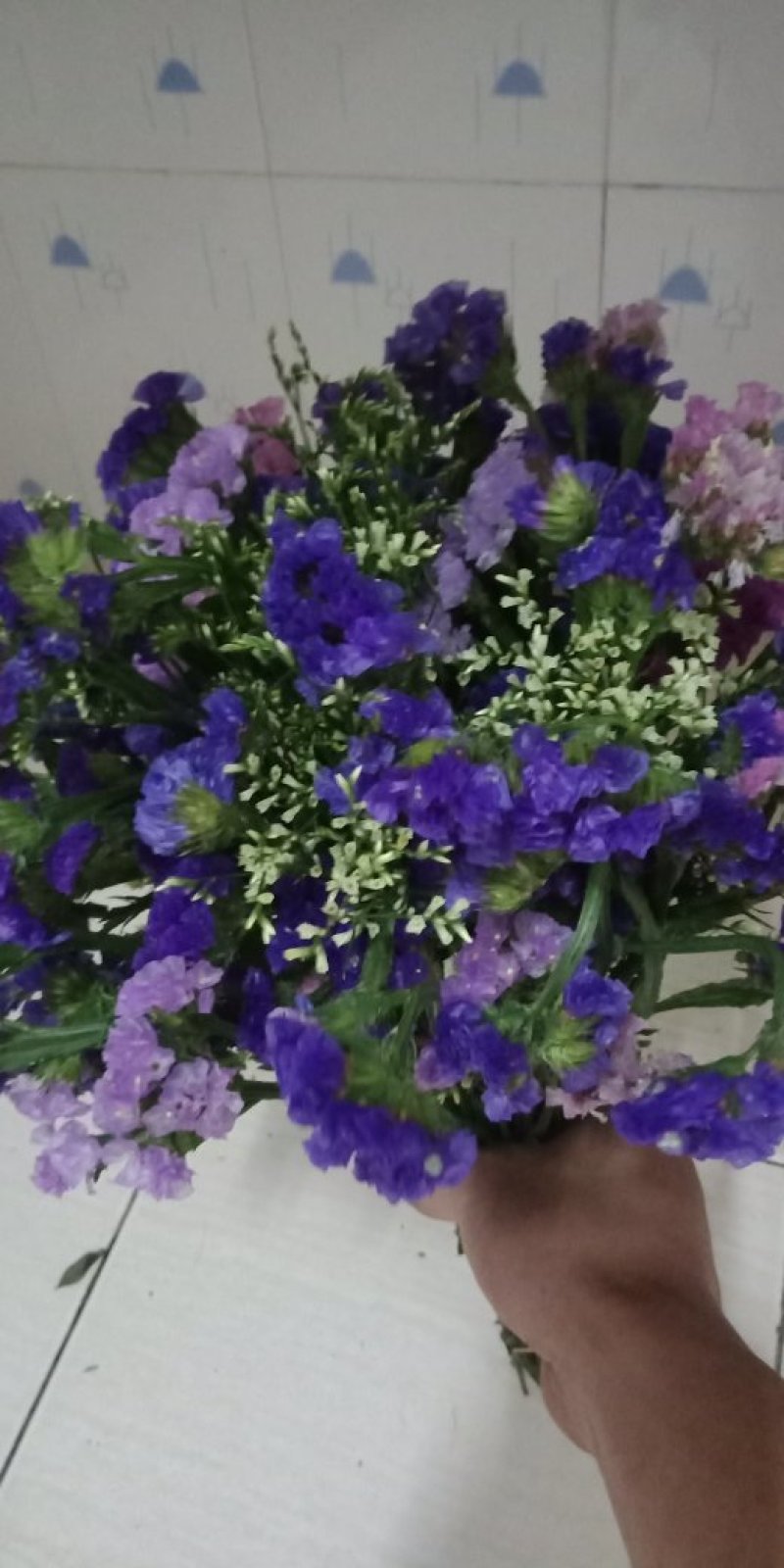 各种把花，都是B级花！