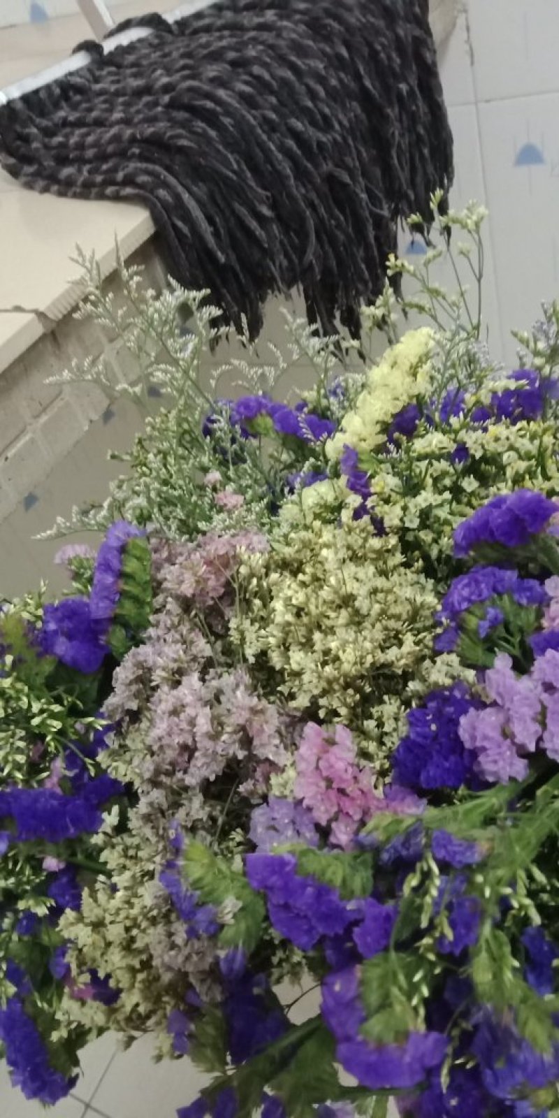 各种把花，都是B级花！