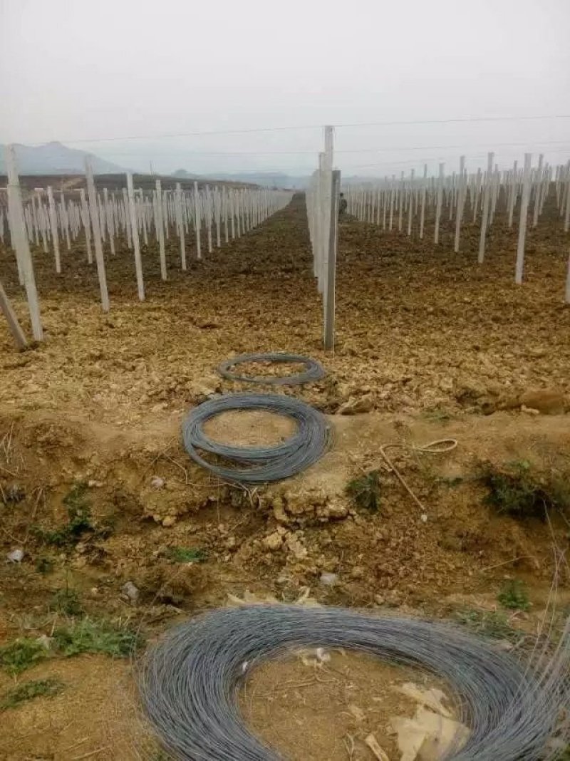 长期供应各种水瓜果所需要的水泥立柱