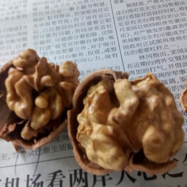 核桃30mm以上干核桃