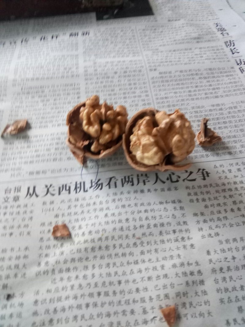 核桃30mm以上干核桃