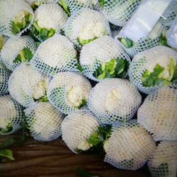 河北永年精品花菜大量供应中，可供大型批发市场超市和加工厂