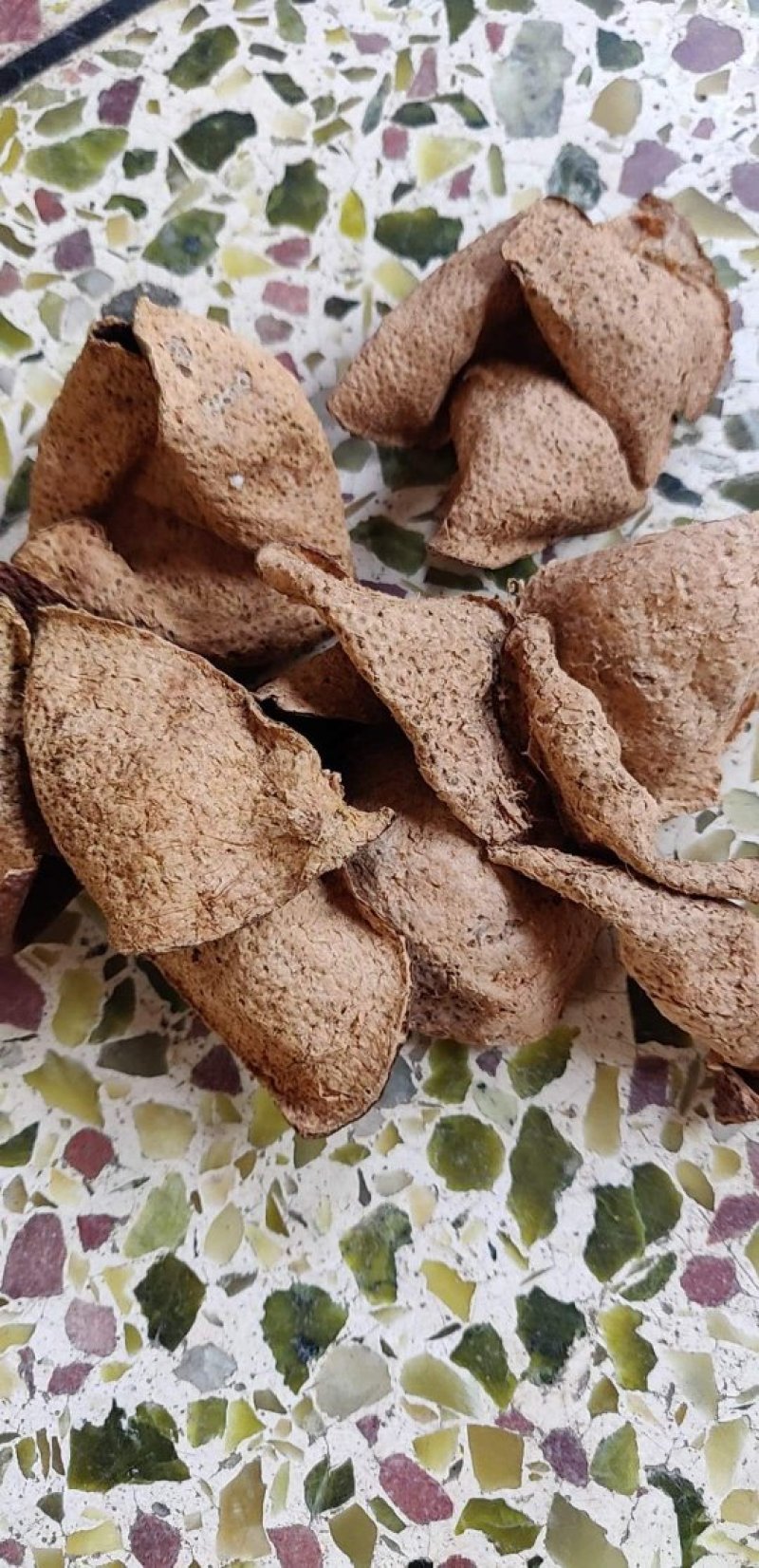 陈皮