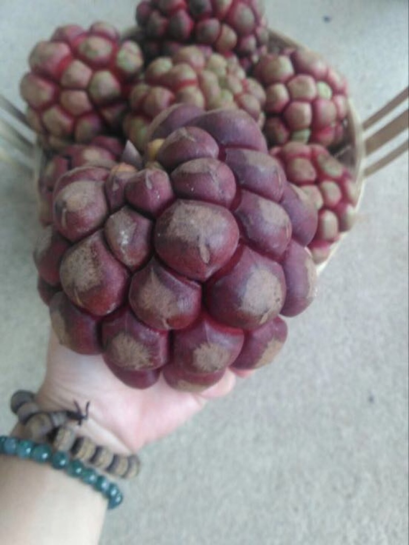 布福娜300~600g