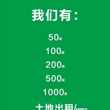 四川土地出租，适合种养循环