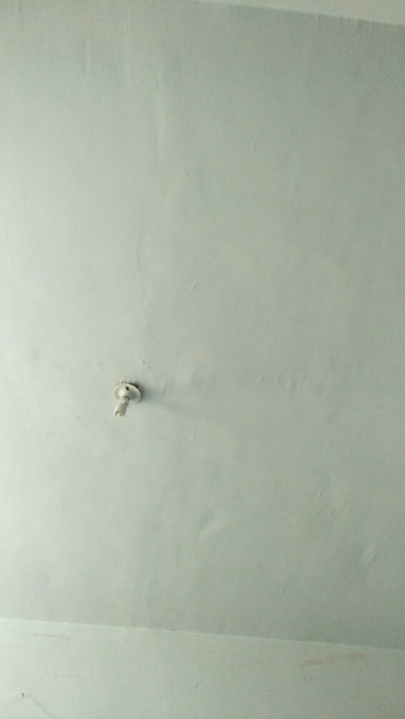 菜籽