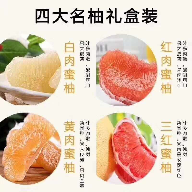 四大名柚