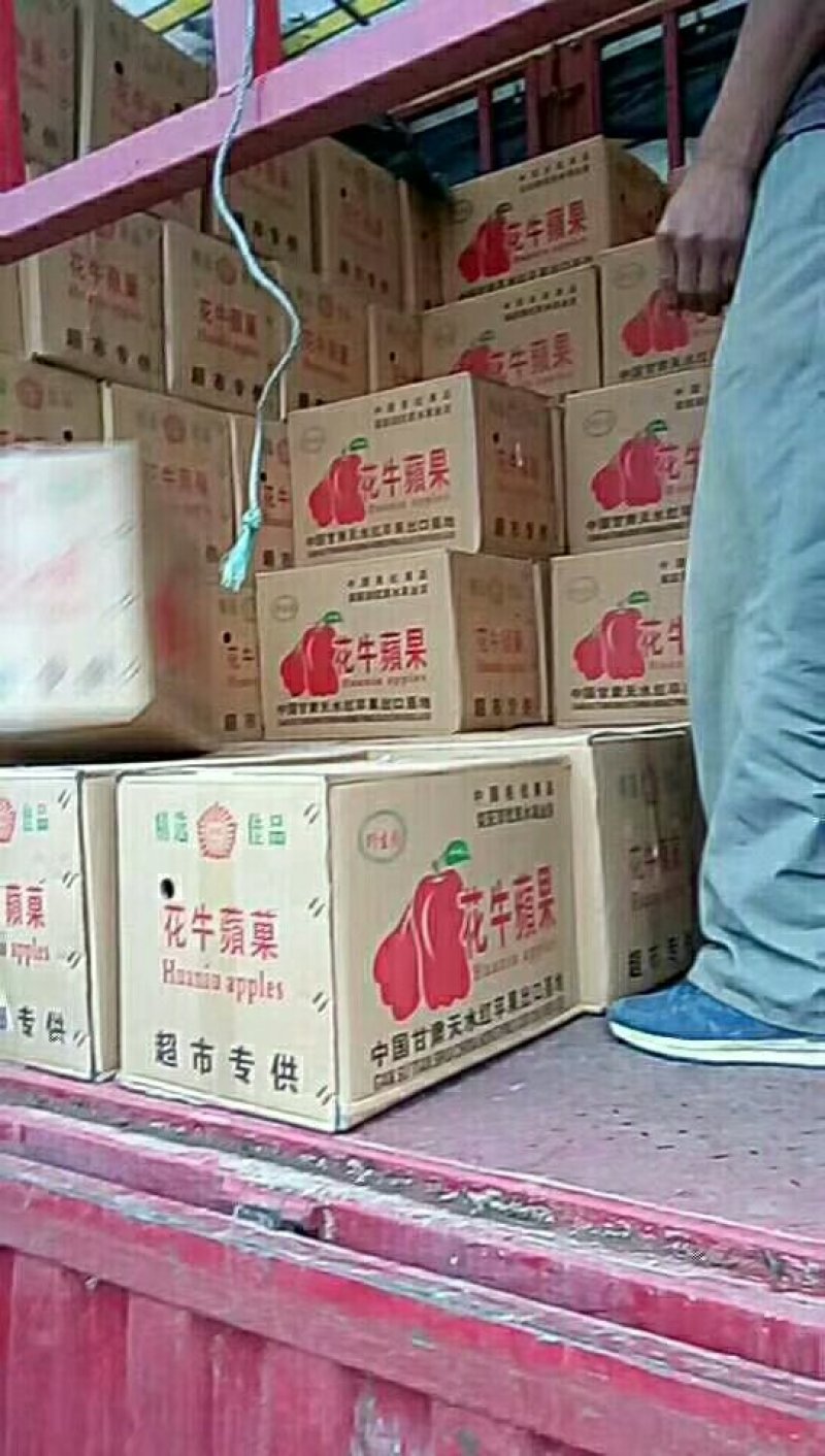 一件代发（老花牛苹果）糯香甜汁的老品种红元帅系列
