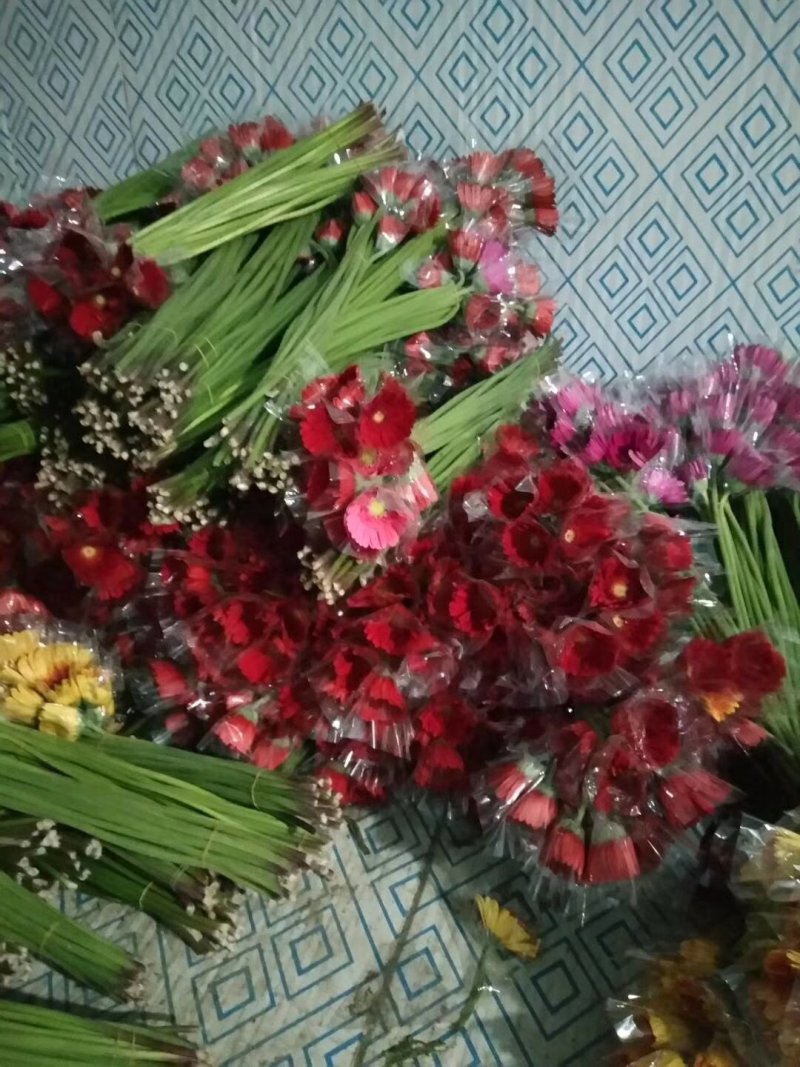 扶郎花质量好价格优惠有需要的老板联系我