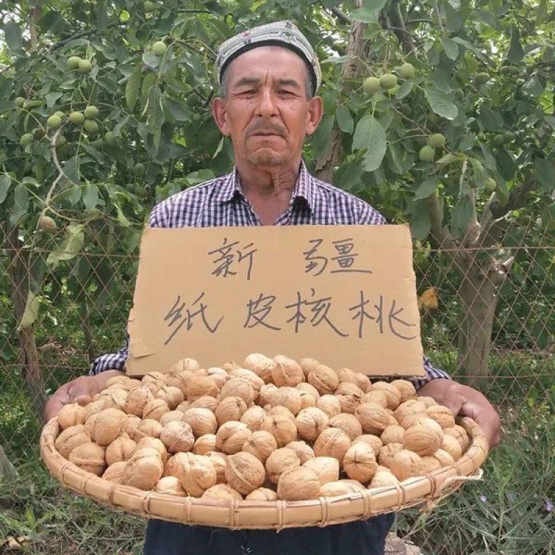 185纸皮核桃，阿克苏本地发货，人工挑选，物美廉价值后买