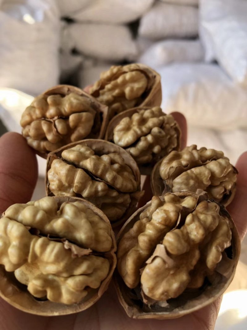185纸皮核桃，阿克苏本地发货，人工挑选，物美廉价值后买