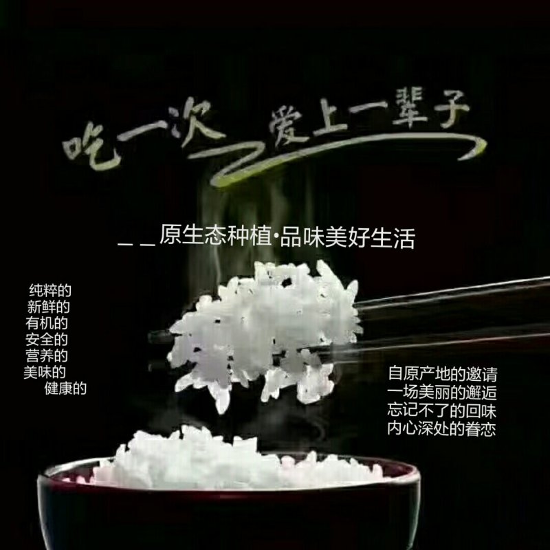 东北五常大米稻花香