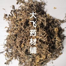 垂盆草浙江1公斤起批无硫无添加不包邮正品