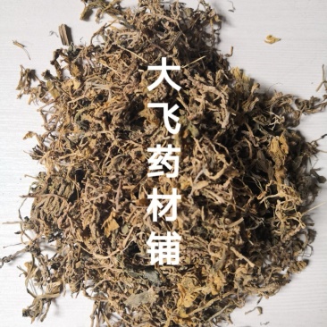 垂盆草浙江1公斤起批无硫无添加不包邮正品