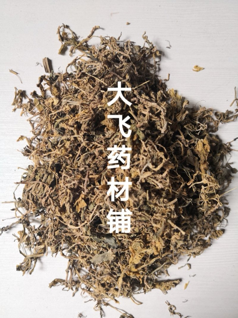 垂盆草浙江1公斤起批无硫无添加不包邮正品