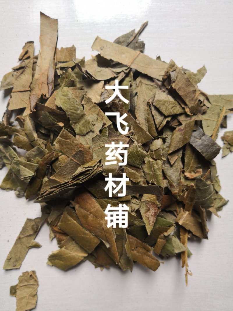 枇杷叶广东1公斤起批无硫无添加不包邮正品