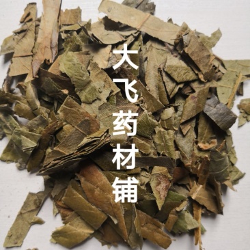 枇杷叶广东1公斤起批无硫无添加不包邮正品
