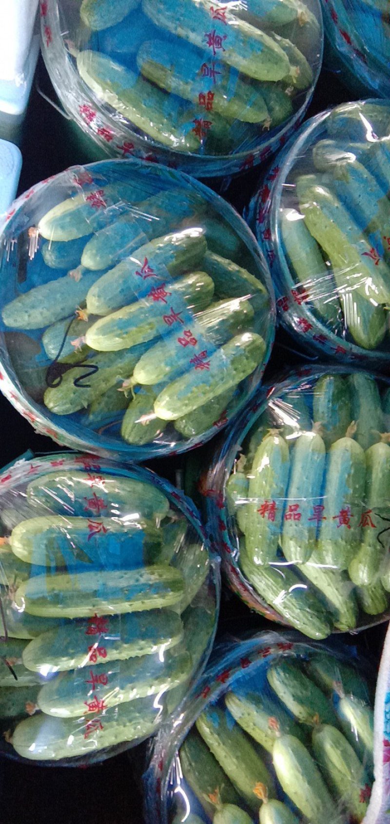 旱黄瓜