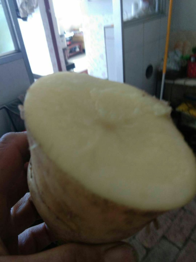 土豆(马玲薯)