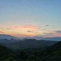 百花蜜九龙蜜野生放养