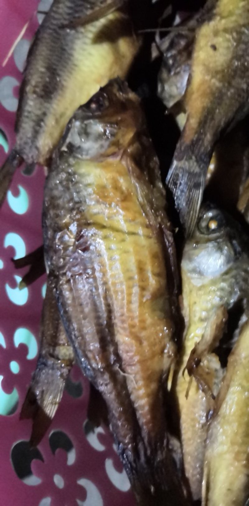 定购烟熏禾花鲤鱼腊鲤鱼活鱼熏制