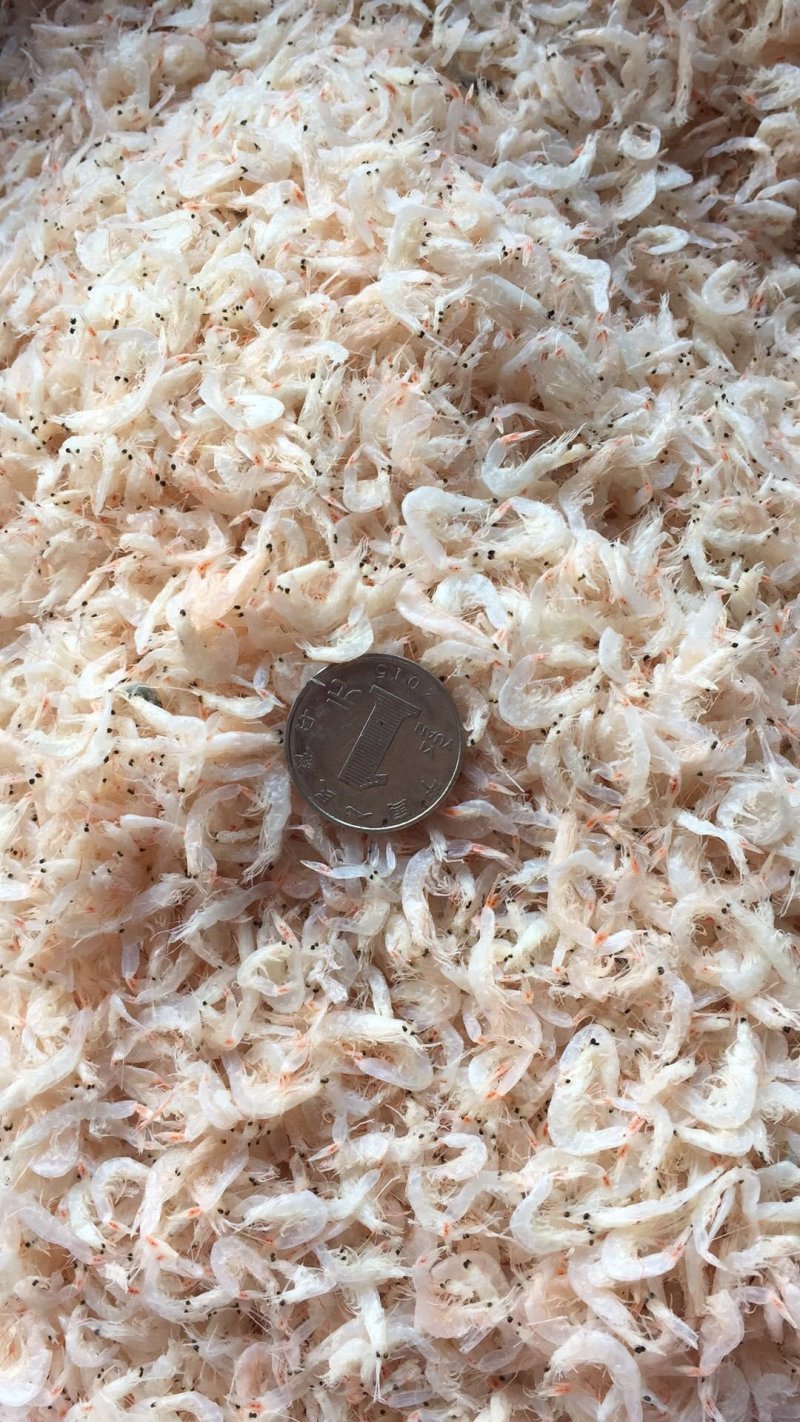 无盐虾皮