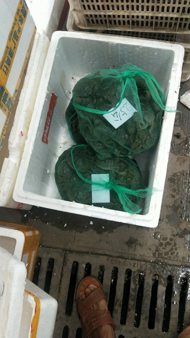 其它