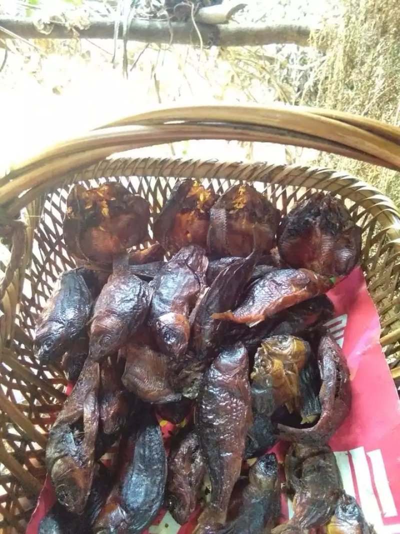 定购烟熏禾花鲤鱼腊鲤鱼活鱼熏制