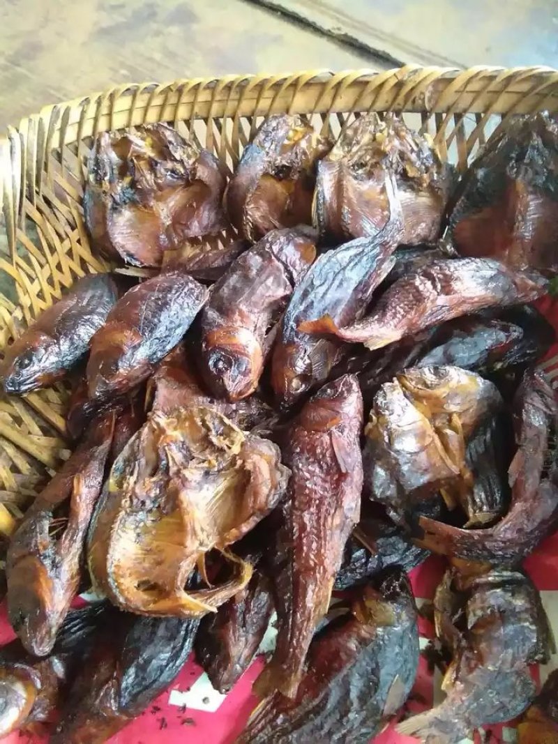 定购烟熏禾花鲤鱼腊鲤鱼活鱼熏制