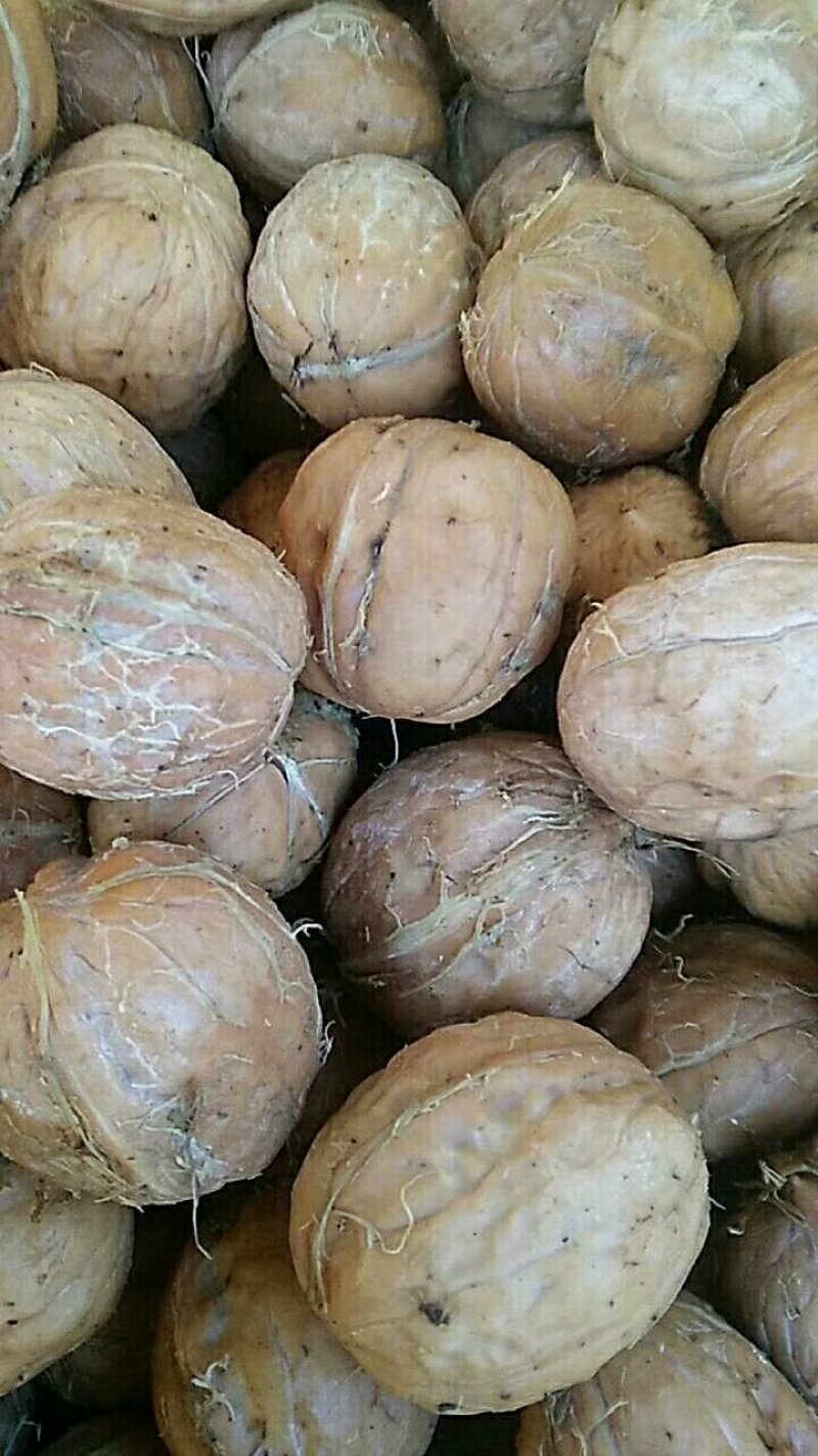 核桃