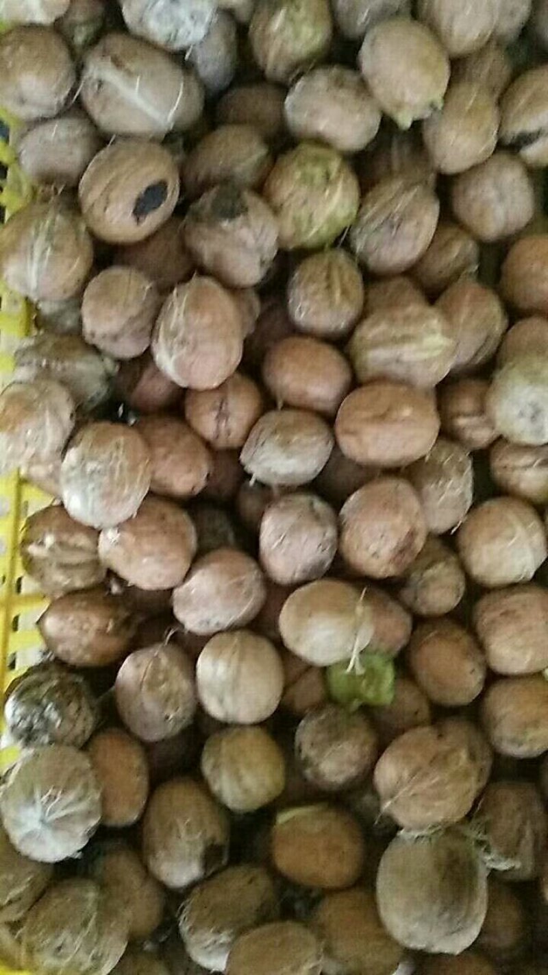 核桃