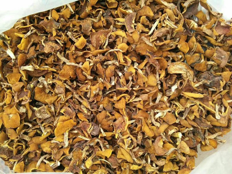 大量出售！纯野生红蘑！松蘑！