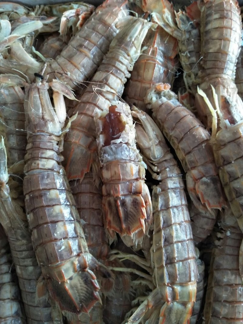 纯天然海产品，品种起全，