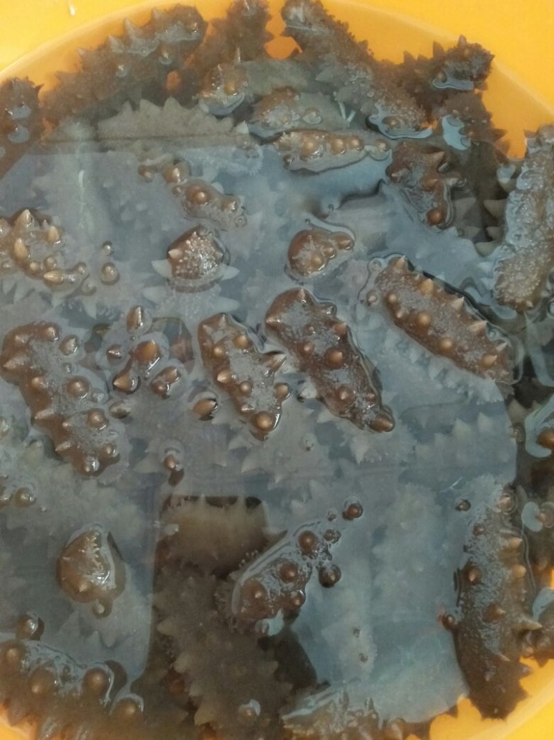 纯天然海产品，品种起全，