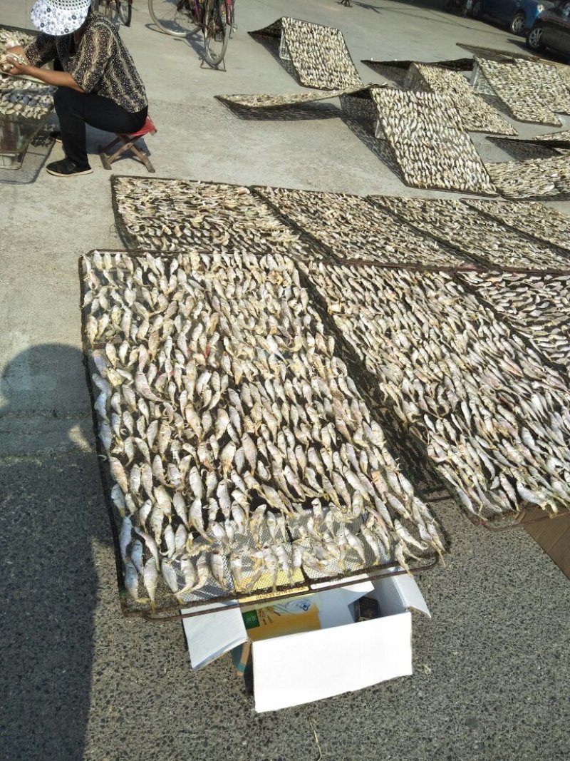 纯天然海产品，品种起全，