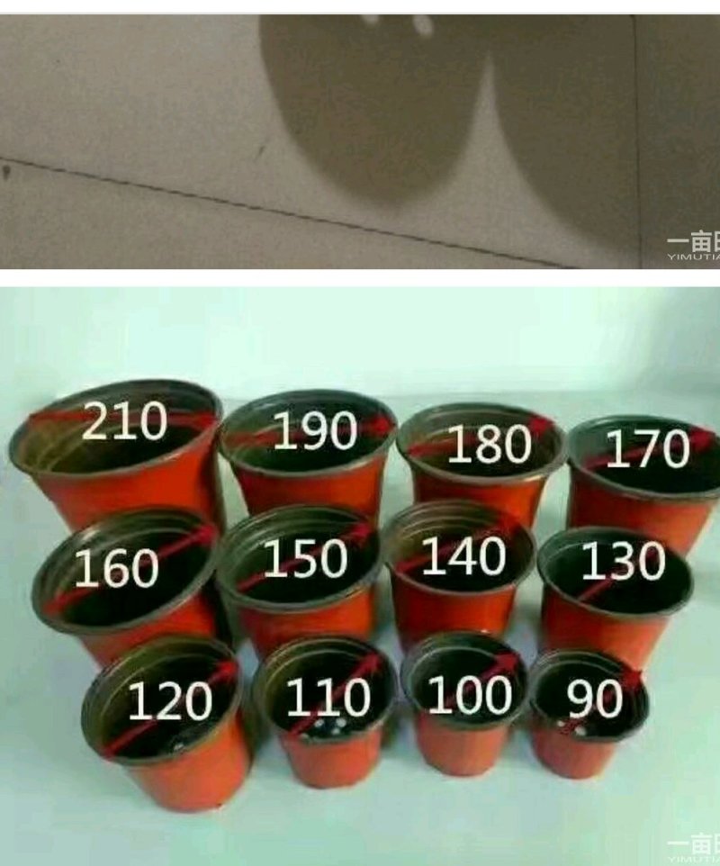 双色花盒，双色杯，摔不坏，耐用买双色色花盆营养全国包邮