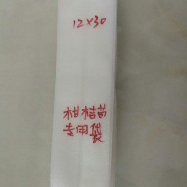 无纺布育苗袋，装土后12直径x30高，10直径x25高，