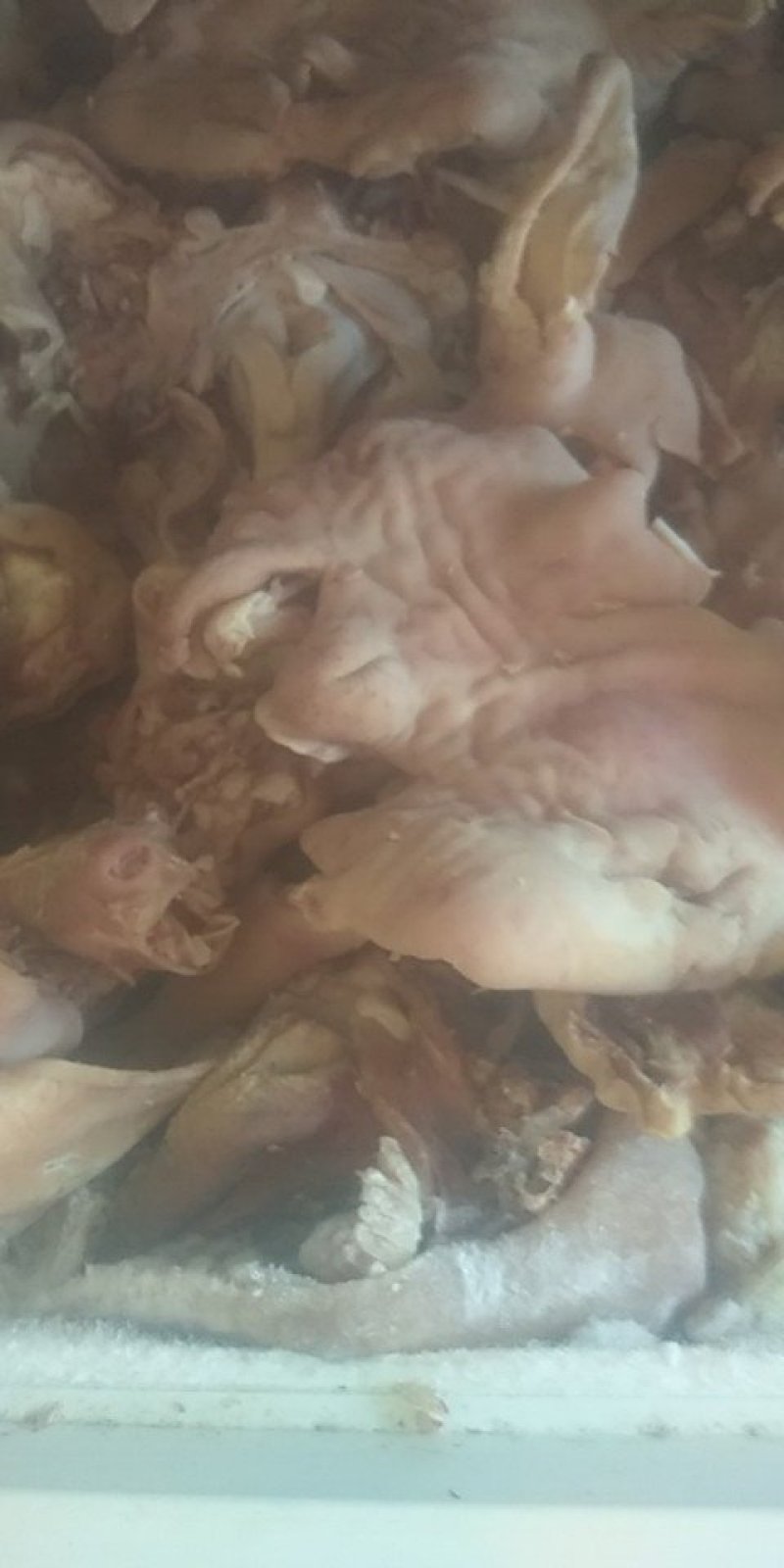 羊头肉