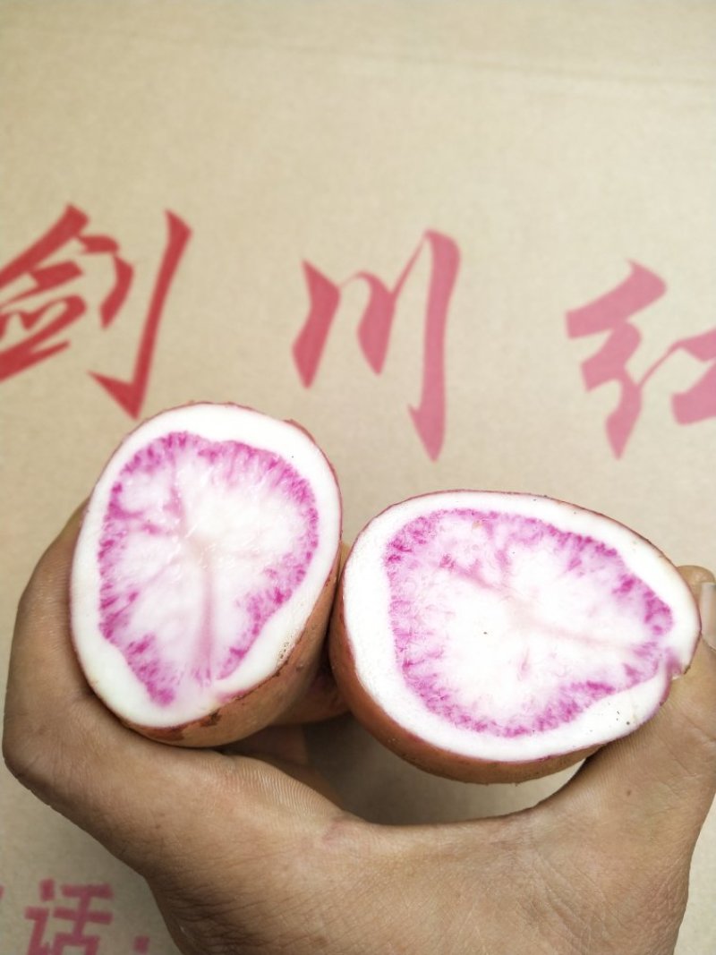 七彩土豆剑川红，来自于高海拔种植