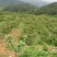 贵州息峰迦蜜山蜂业有限公司