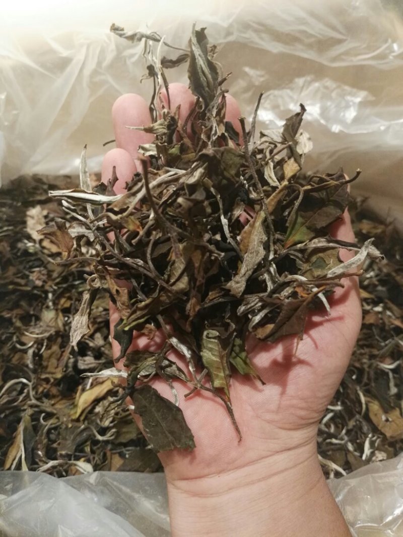 古树月光白普洱茶性价比高甜度高